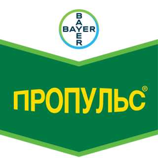 Пропульс, СЭ