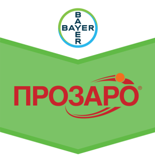 Прозаро, КЭ