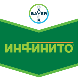 Инфинито, КС