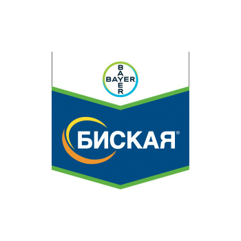 Биская, МД