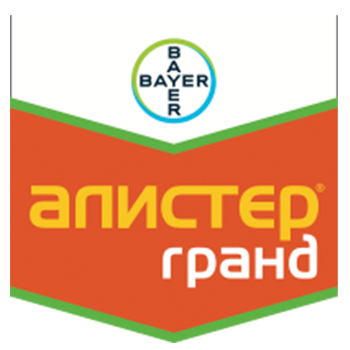 Алистер Гранд, МД